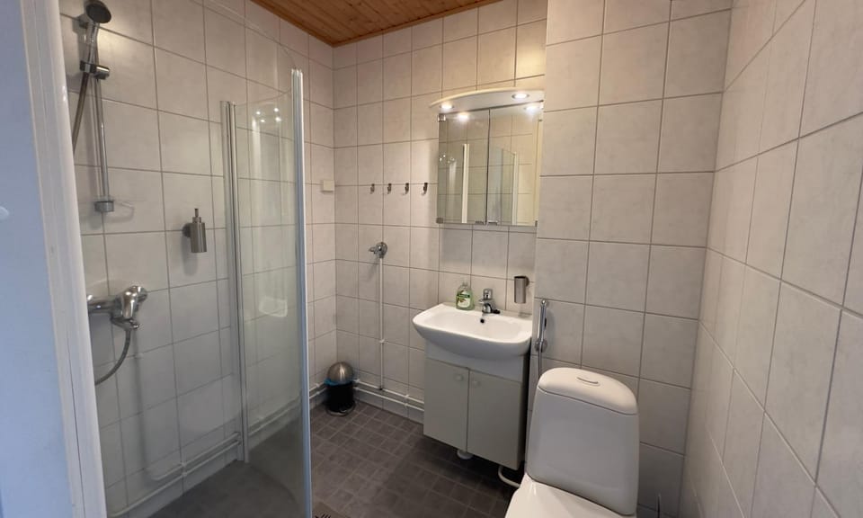 Shower, Toilet, Bathroom, bidet