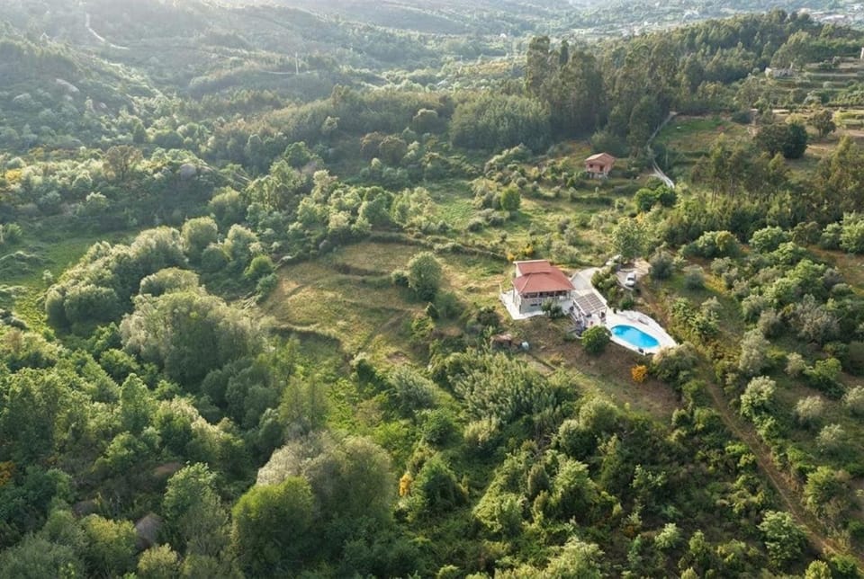 NEW! Remote cosy apartment Apartment in Coimbra District, Portugal