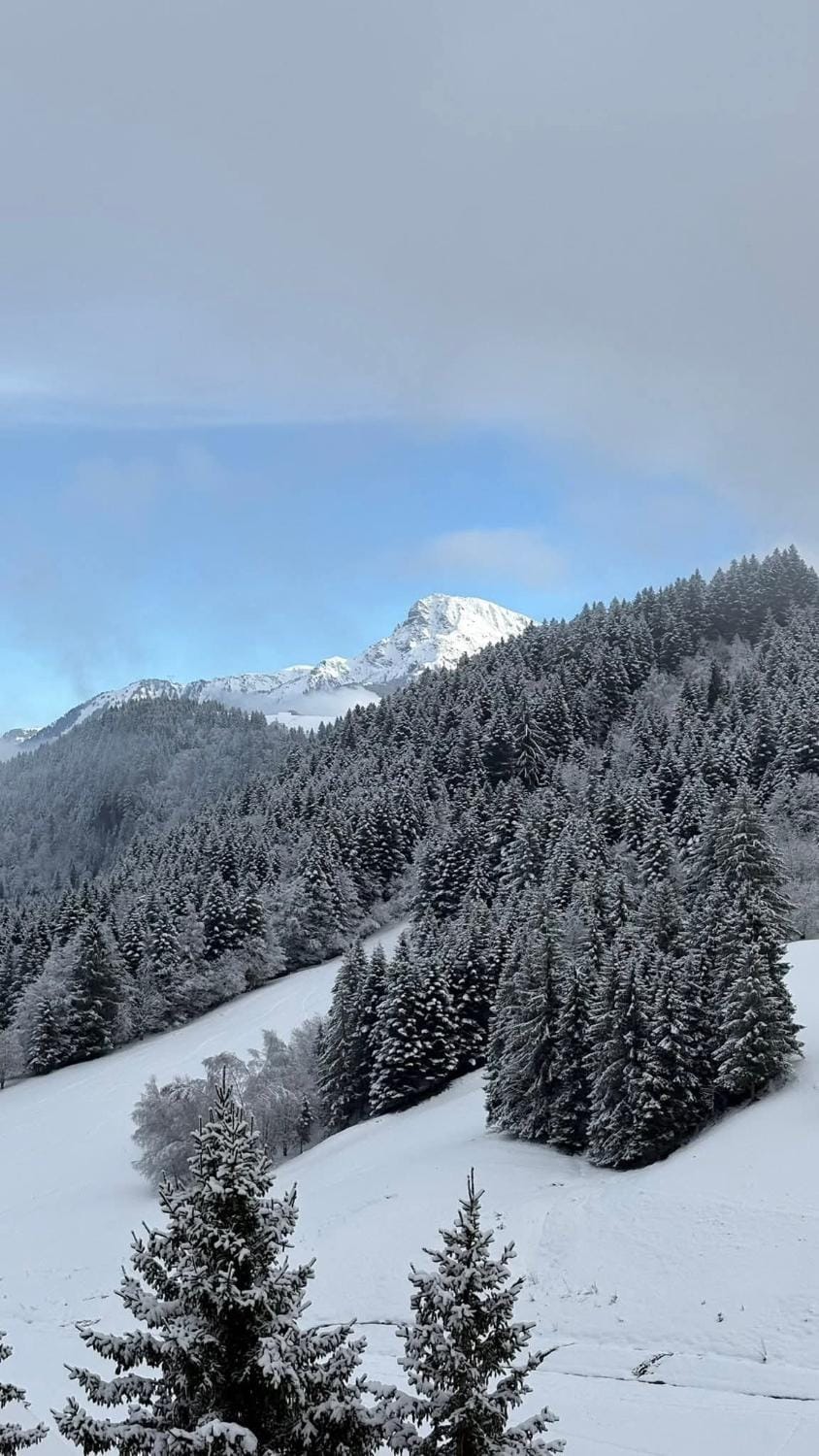 Appartement 8 personnes à Le Biot Apartment in Haute-Savoie