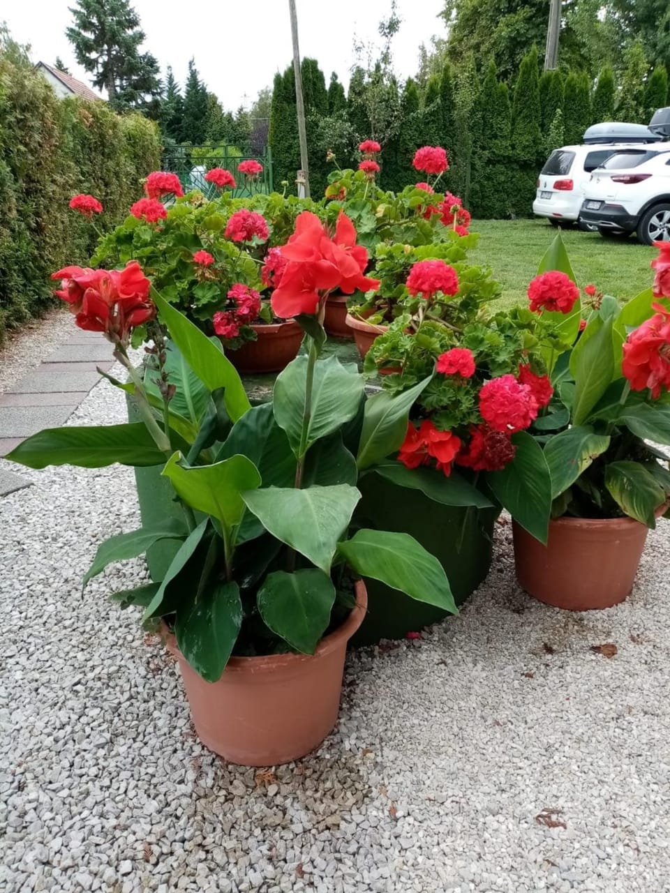 Ferienwohnung mit Pool, WLAN direkt am See 70qm Apartment in Hungary