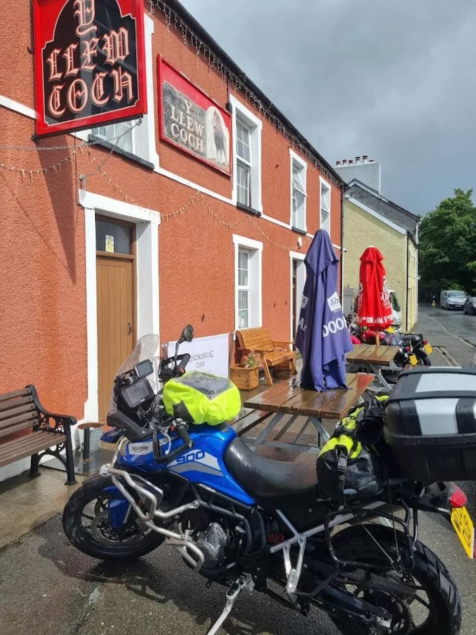 Y Llew Coch Tregaron Inn in Wales