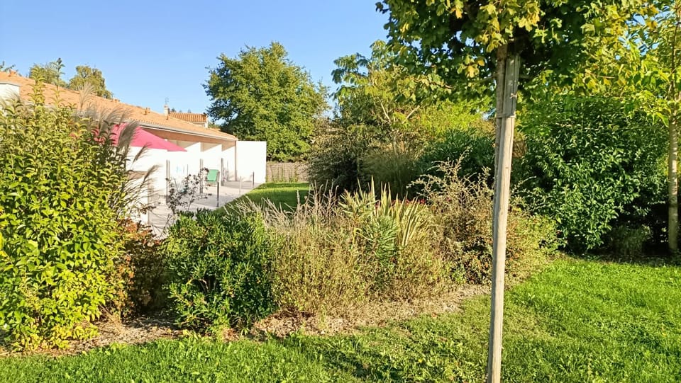 Garden, Garden view