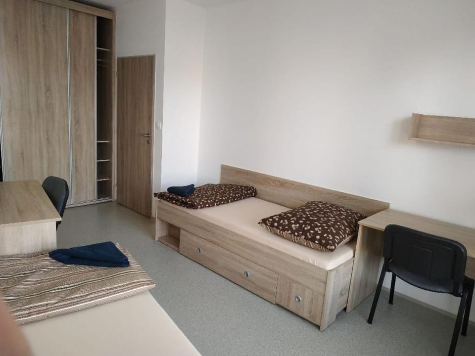 Bed, Living room, Photo of the whole room, Bedroom, Area and facilities