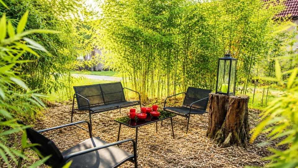 Garden, Garden