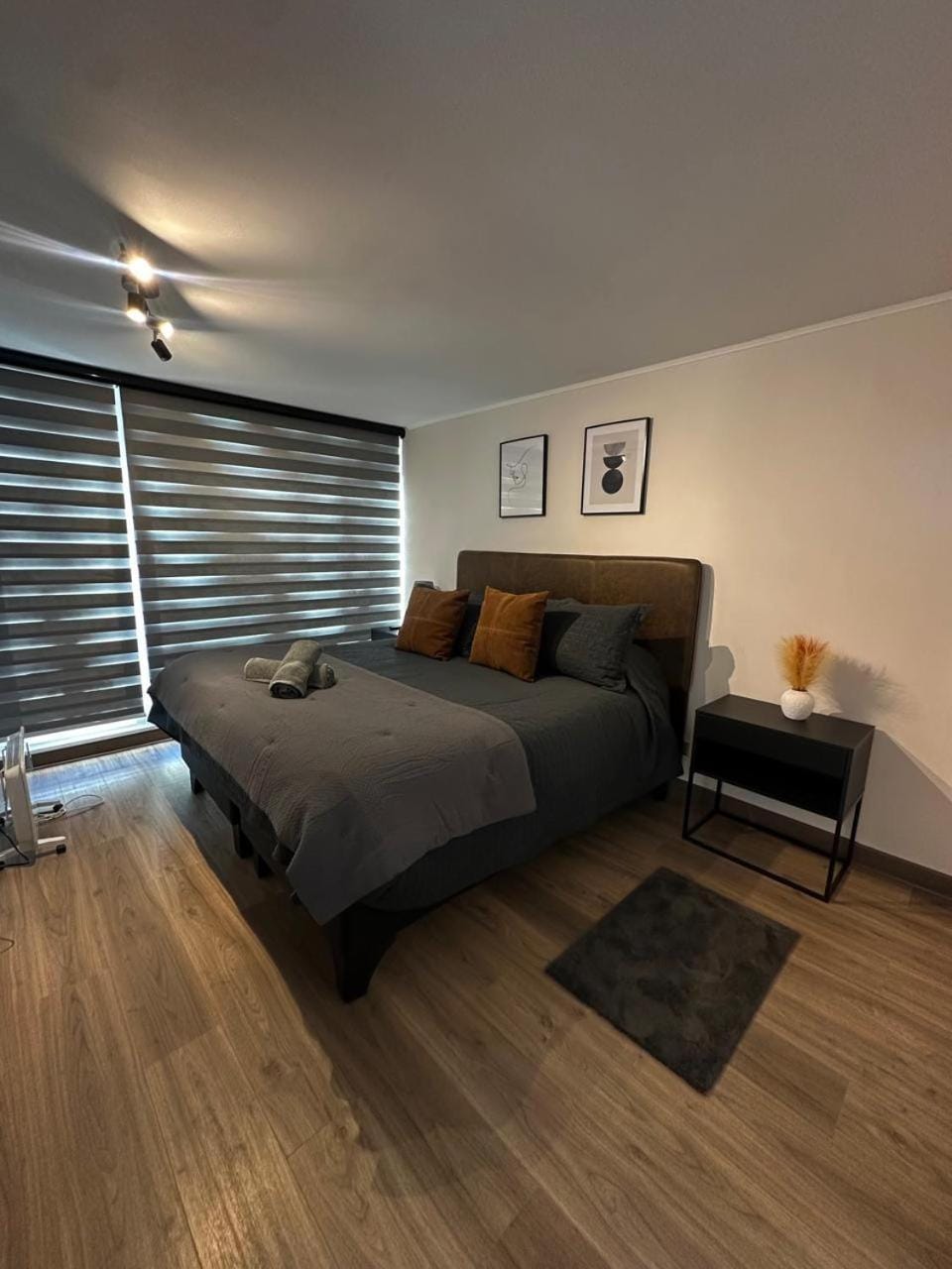 Céntrico y moderno Apartment in Bio Bio, Chile
