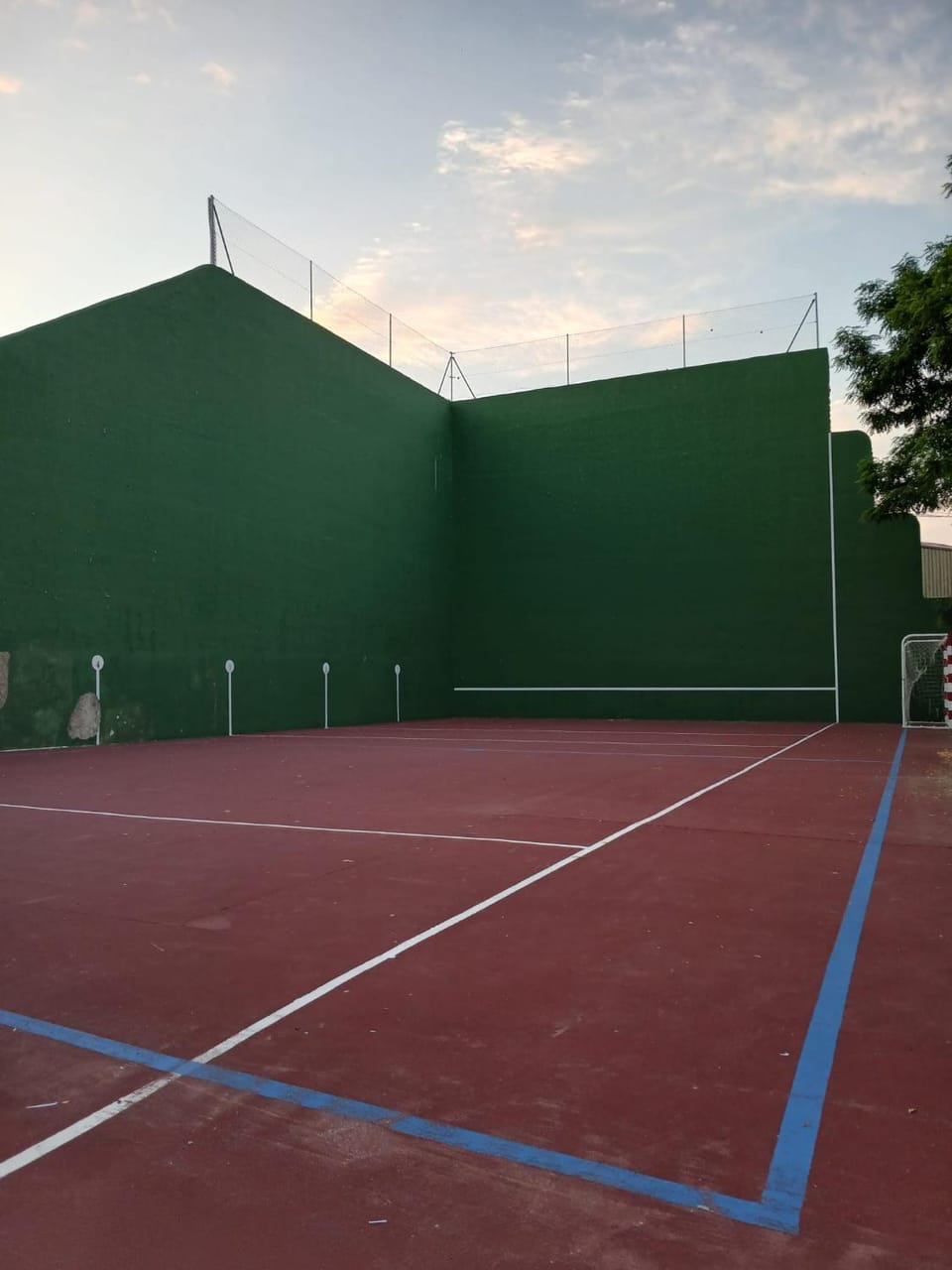 Squash, Squash, Sports