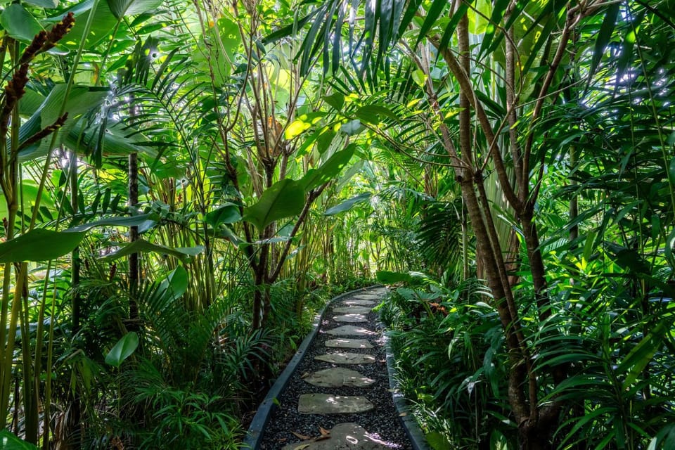 Natural landscape, Garden, Garden view