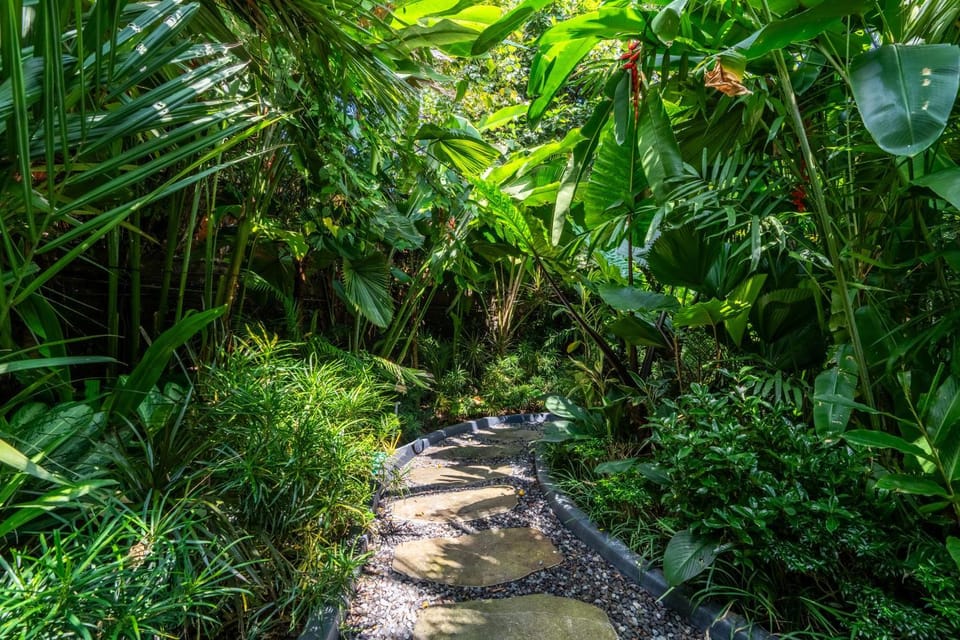 Natural landscape, Garden, Garden view