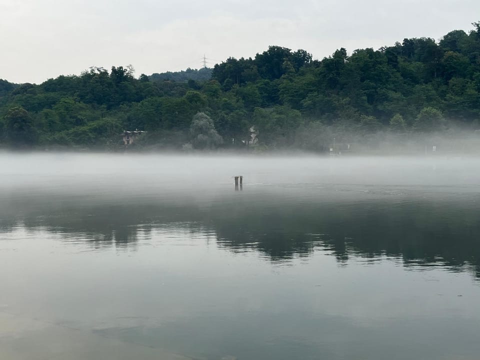River view