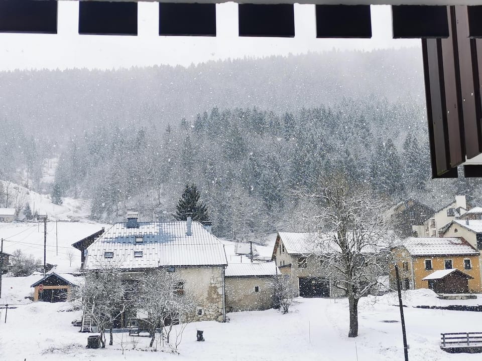 Winter