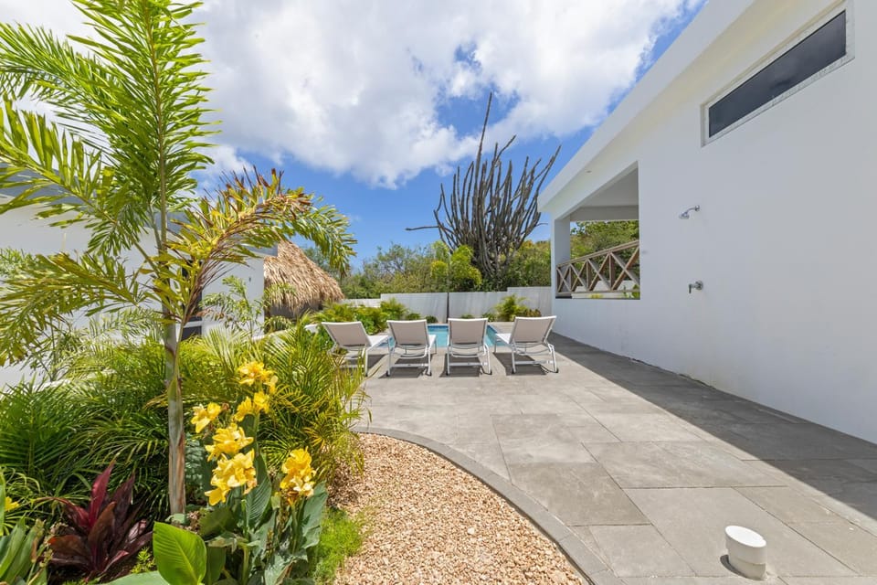 Day, Natural landscape, Garden, Garden, Garden view