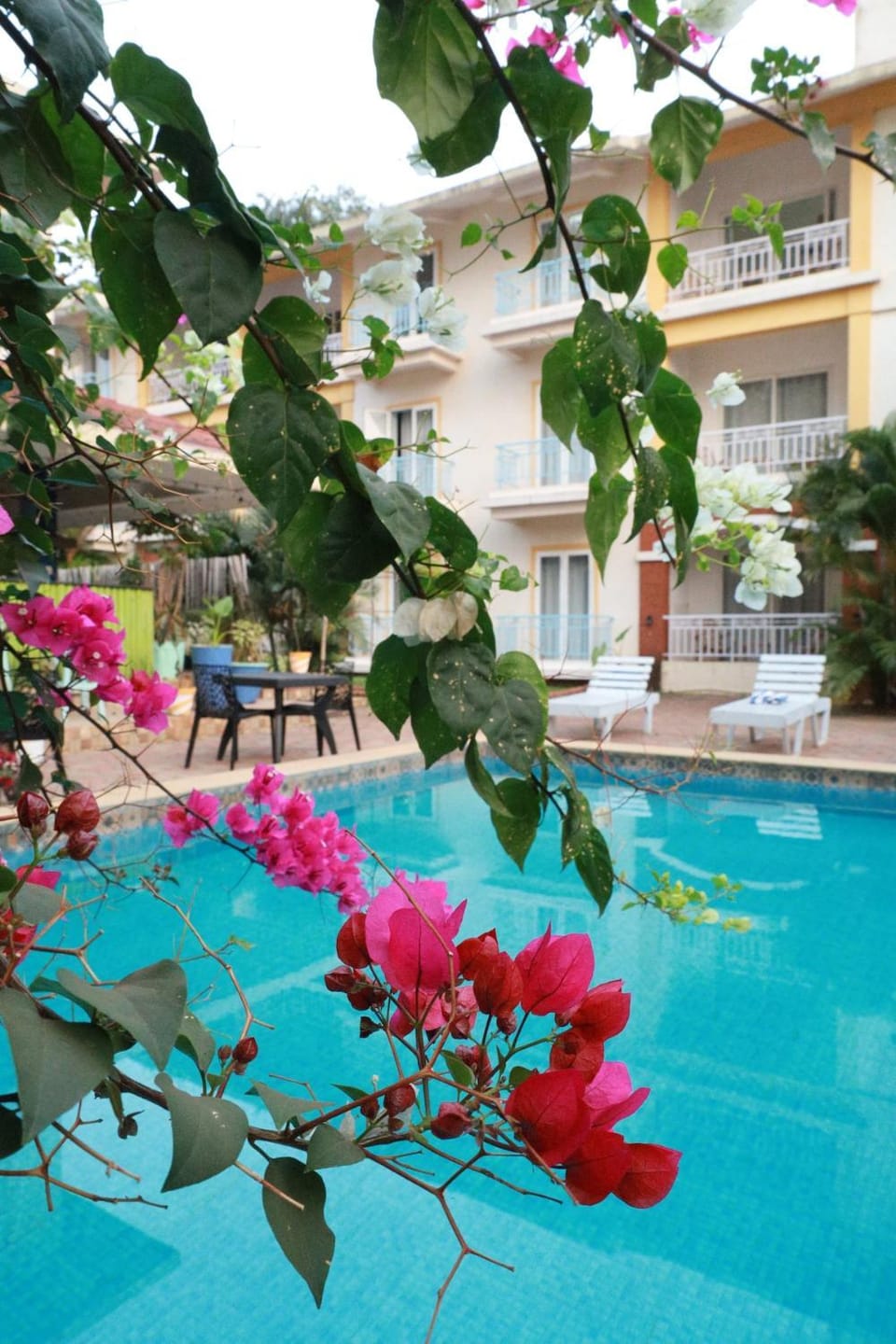 Anjuna Abode Apartment in Baga