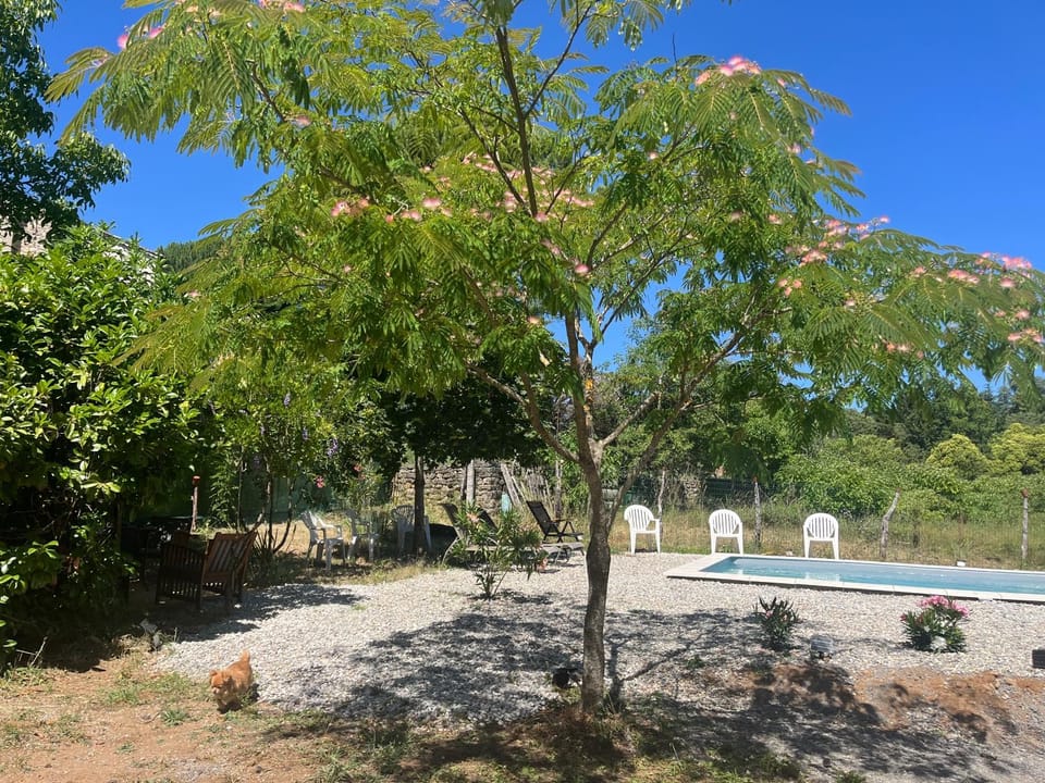 Gîte des Lauriers Blancs House in Provence