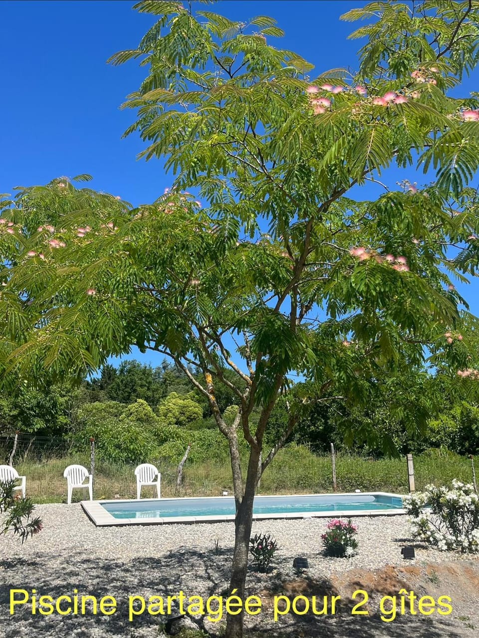 Gîte des Lauriers Blancs House in Provence