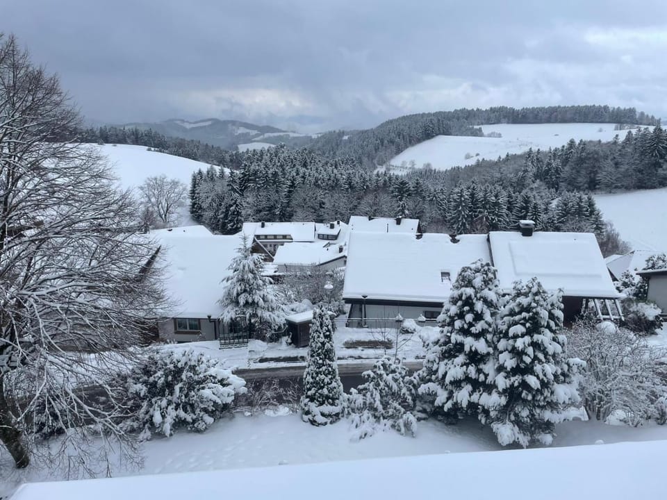 Alpina Löwen Hotel Hotel in Baden-Württemberg