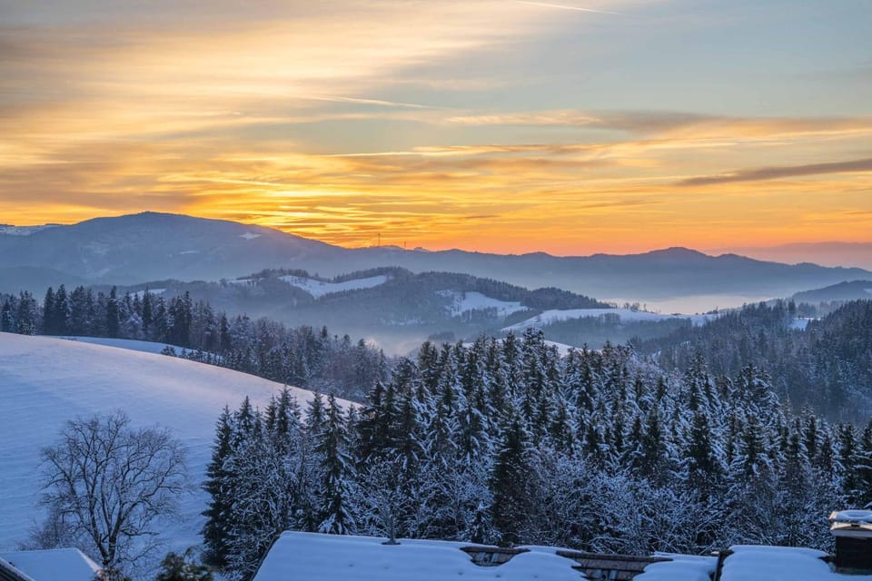 Alpina Löwen Hotel Hotel in Baden-Württemberg