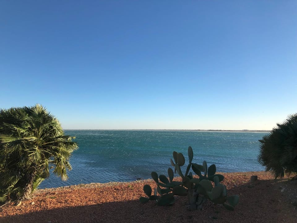 Apartament L'Ampolla BLAU a 50 m del MAR, WIFI, parking Apartment in Baix Ebre