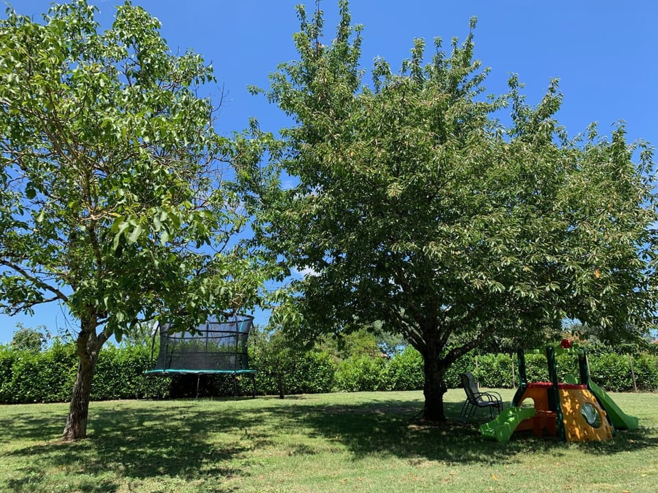 Children play ground, Garden, Garden view