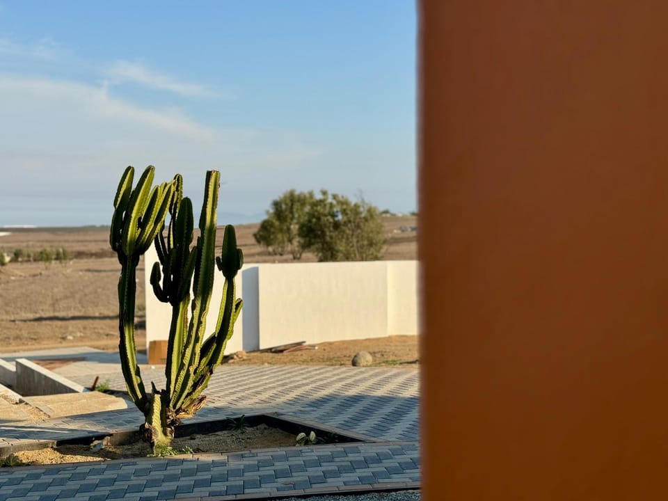 Day, View (from property/room), Balcony/Terrace