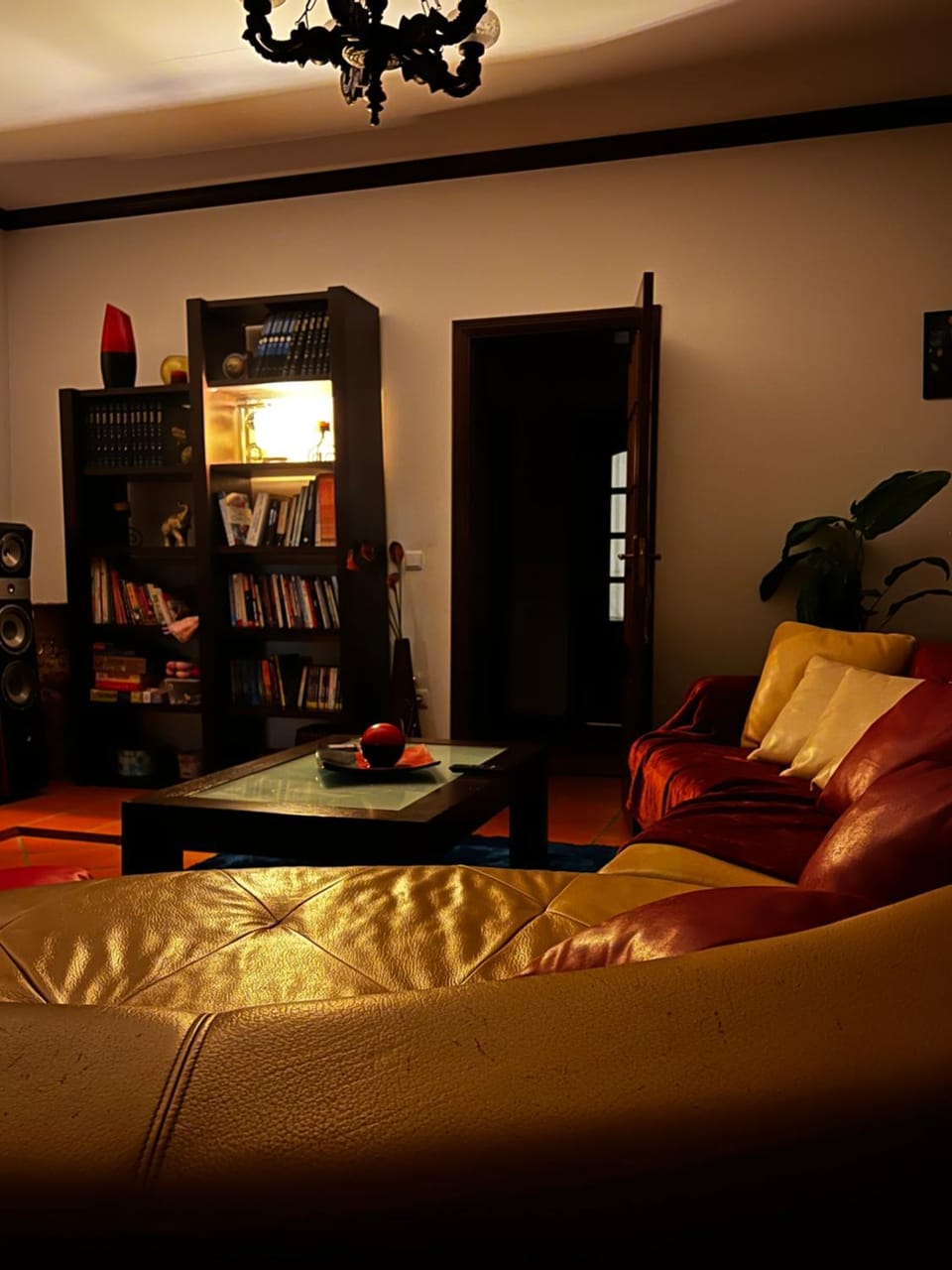 Library, Living room, Seating area