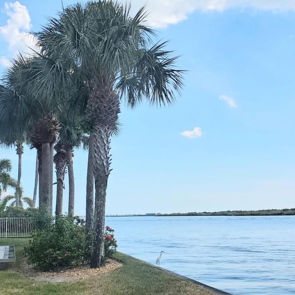Breathtaking Waterview Condo! Apartment in Seminole