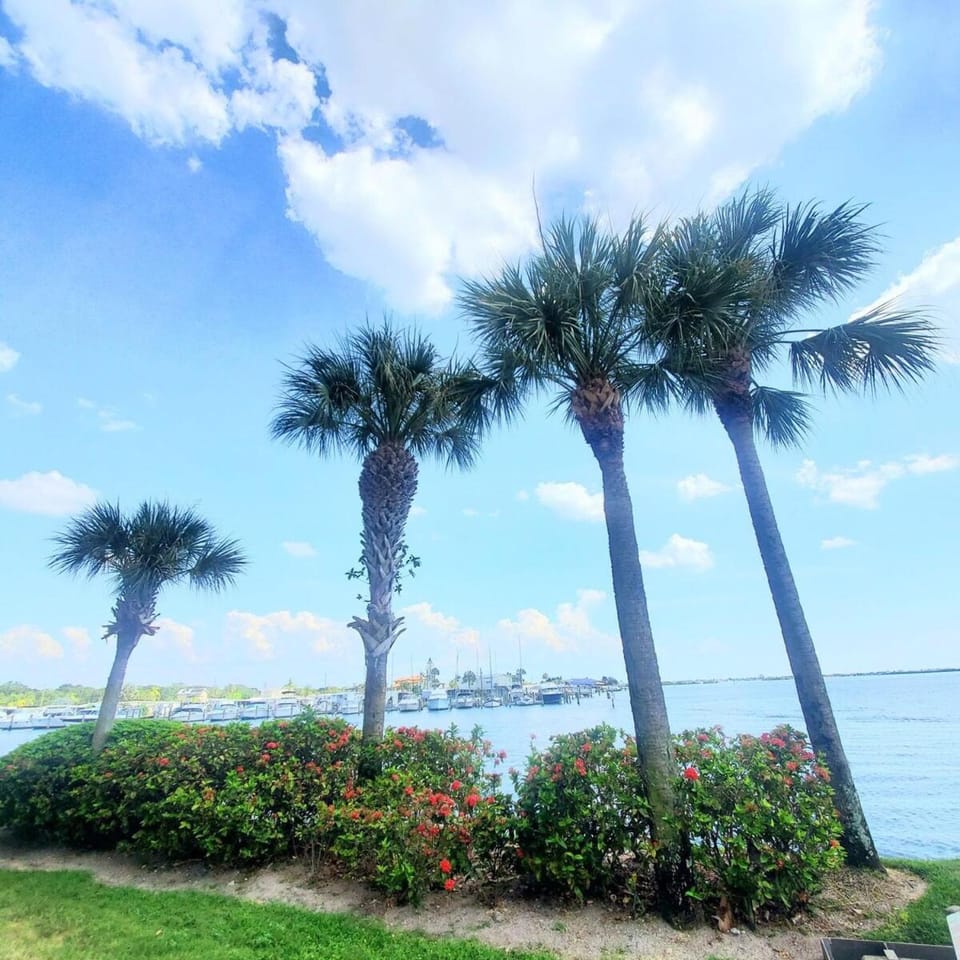 Breathtaking Waterview Condo! Apartment in Seminole