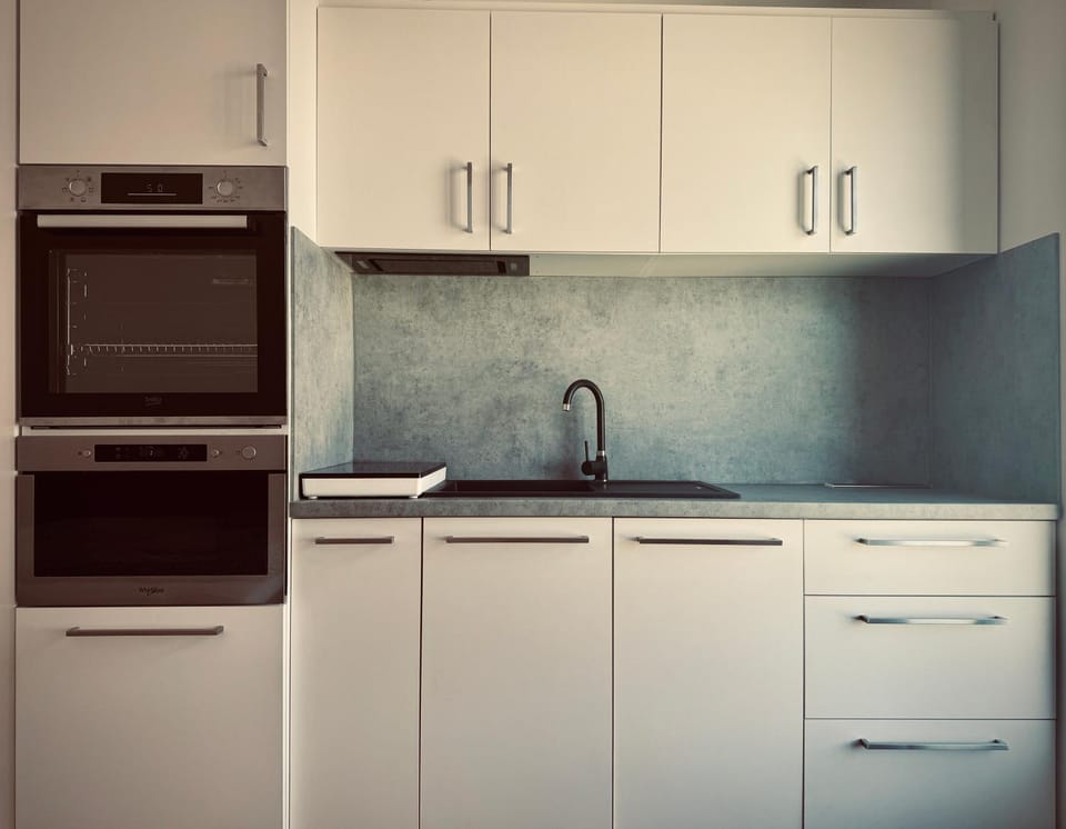 Kitchen or kitchenette, dishwasher, oven