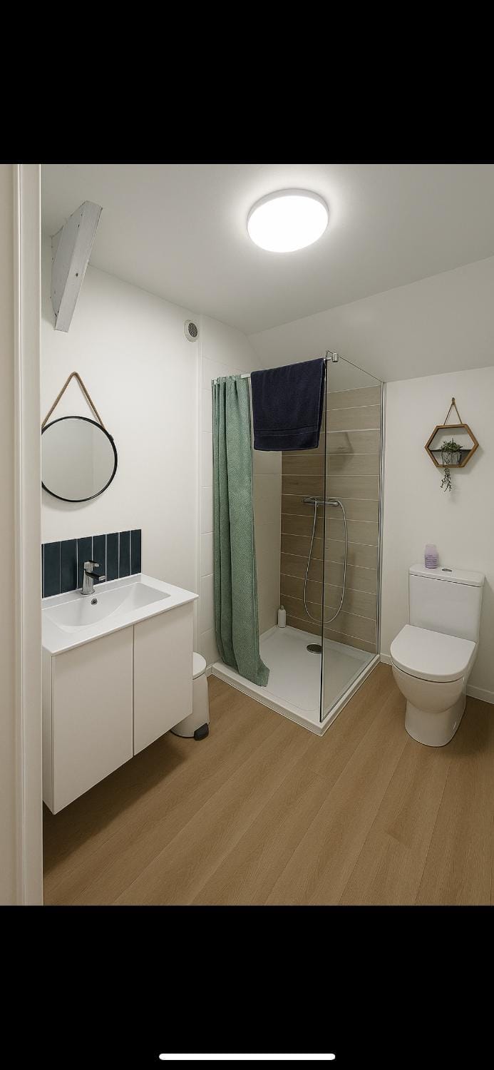 charmant duplex cosy et lumineux Apartment in Île-de-France
