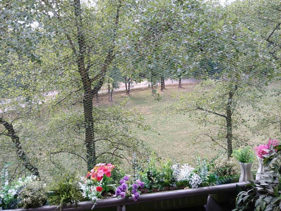 Garden view