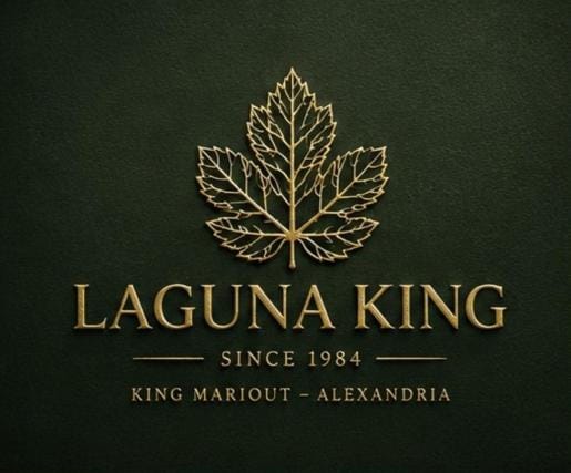 Laguna King - care & comfort Hotel in Alexandria Governorate
