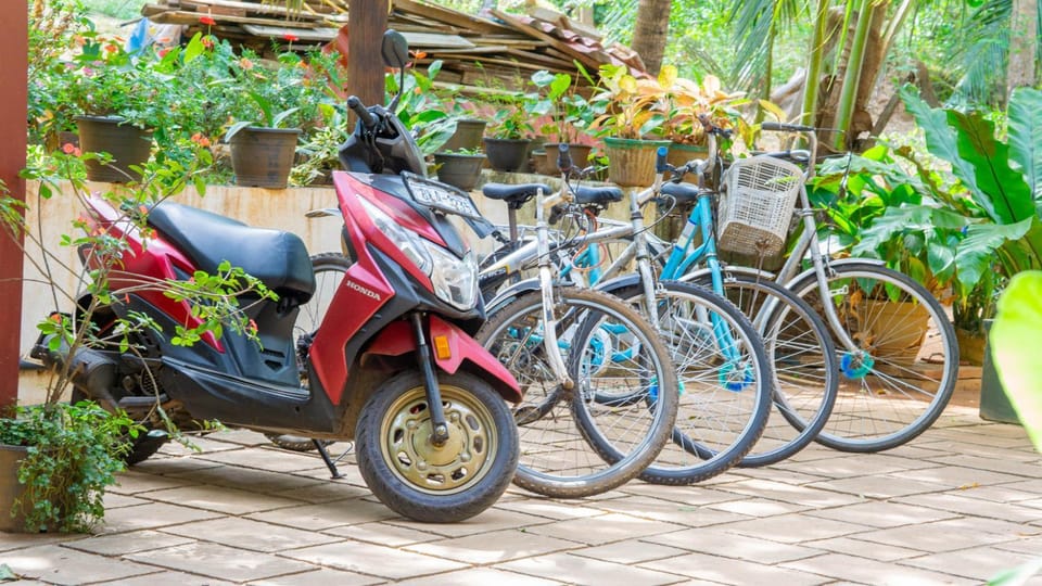 Golden Rainbow Guest House Bed and Breakfast in Dambulla