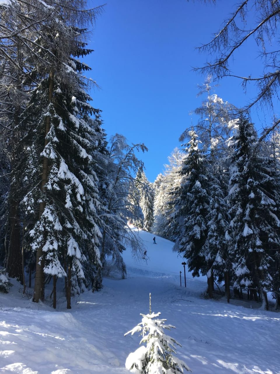 Skiing