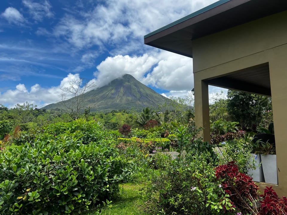 Natural landscape, Garden, Garden, Garden view, Mountain view