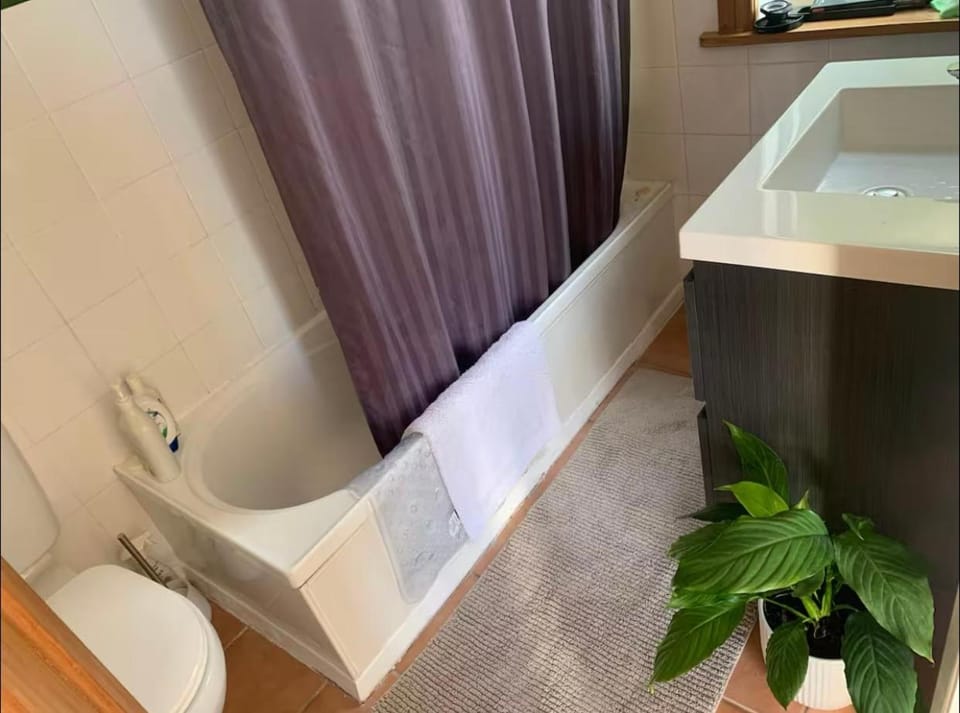 Toilet, Bathroom, Bath