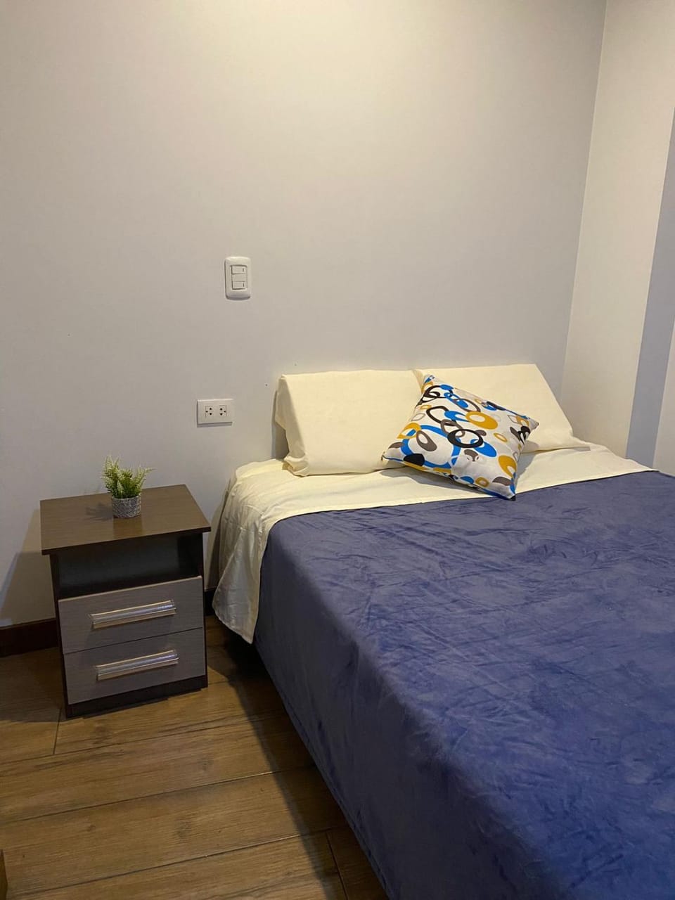 Casa Olivo Apartment in Los Olivos