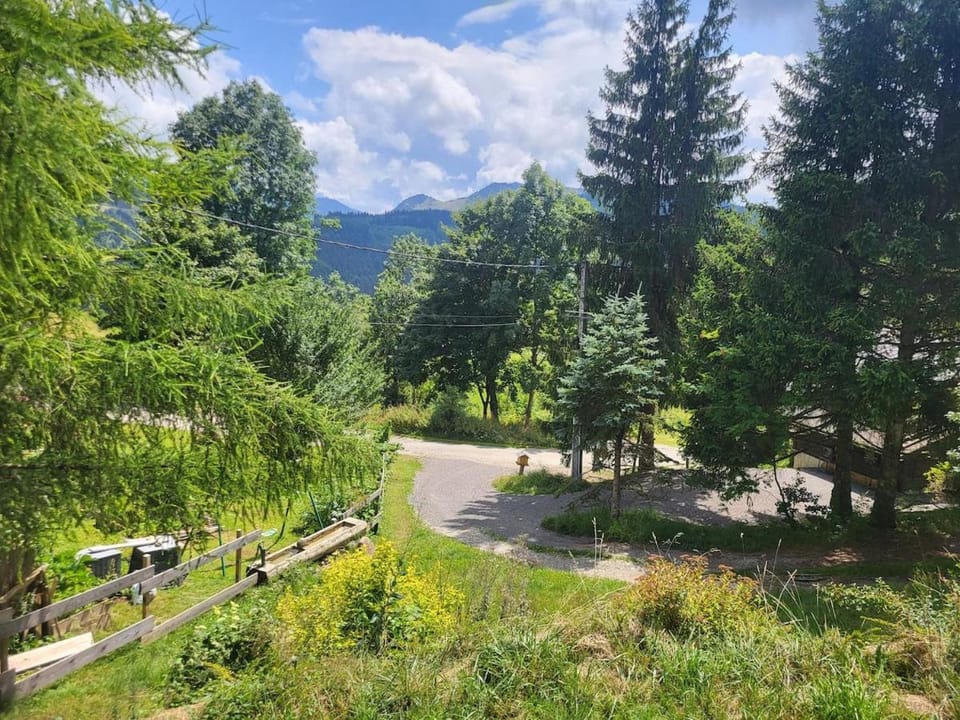 Chalet Chamois & Spa Chalet in Haute-Savoie