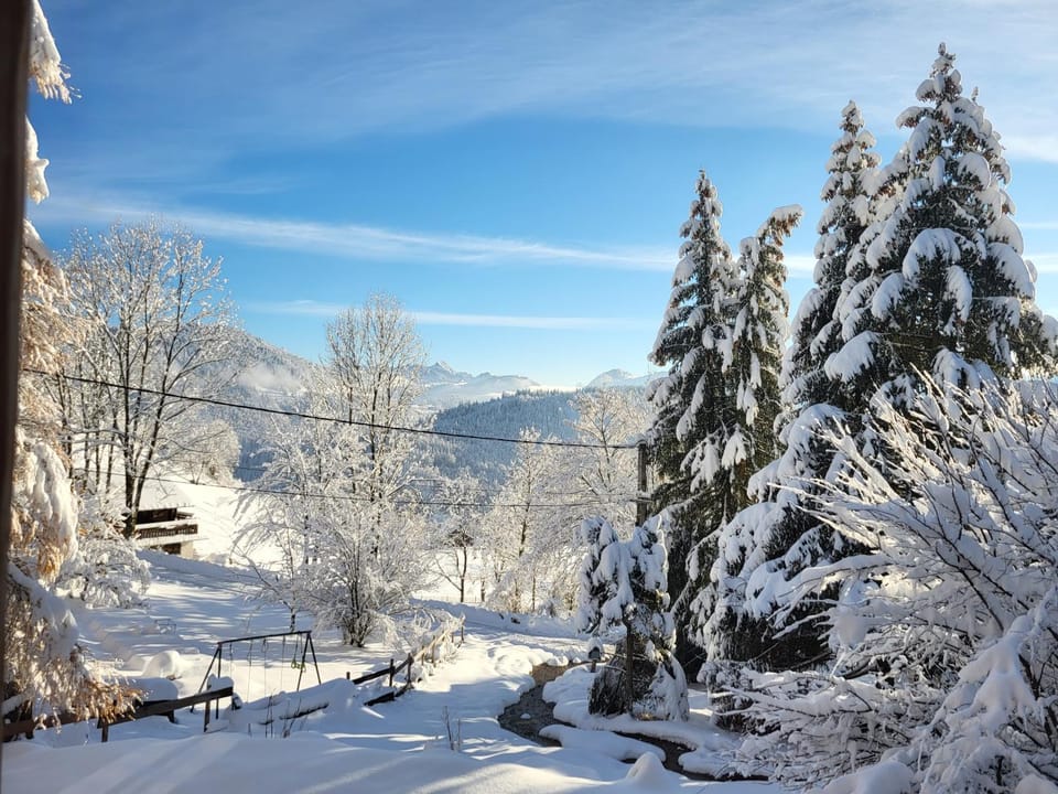 Chalet Chamois & Spa Chalet in Haute-Savoie