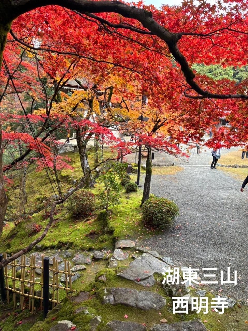 Nearby landmark, Natural landscape