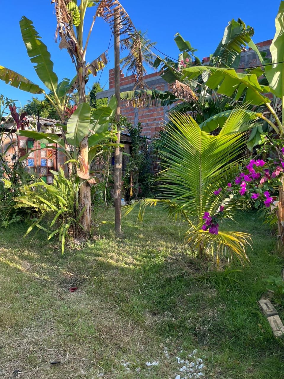 Casa da Cascata House in State of Bahia