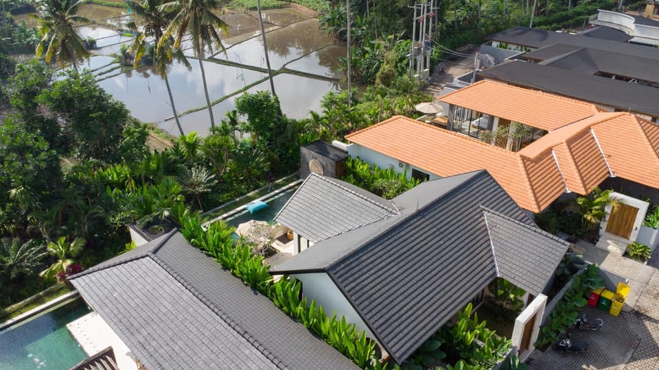 Property building, Day, Bird's eye view