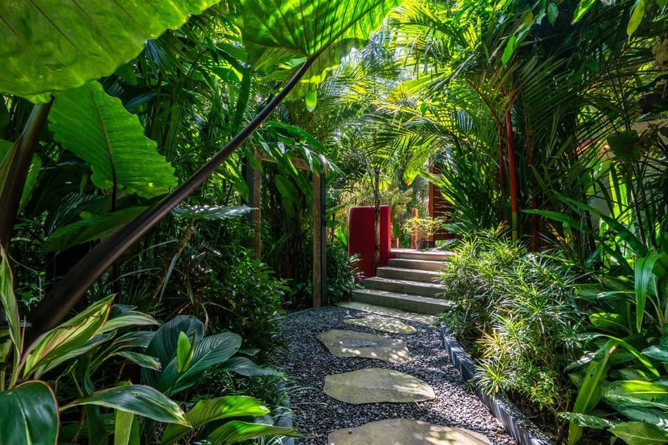 Natural landscape, Garden view