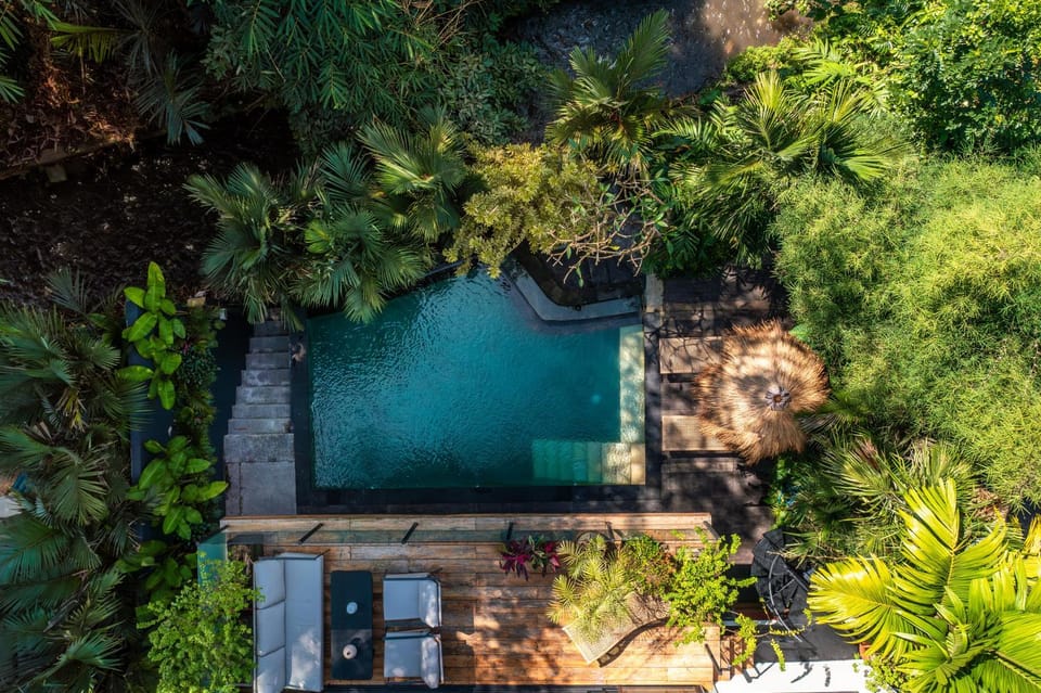 Natural landscape, Bird's eye view, Garden view, Pool view, Swimming pool
