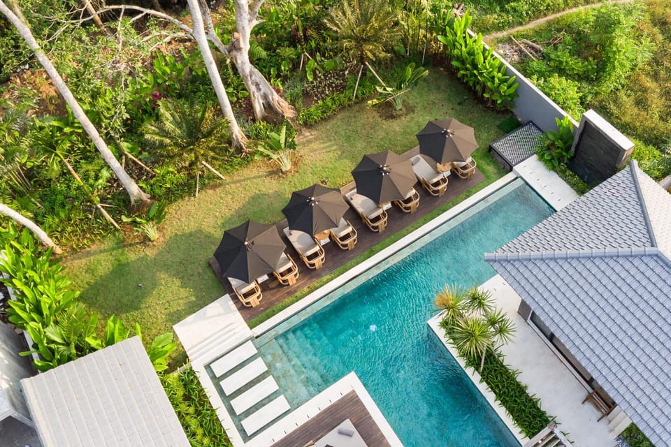 Garden, Garden view, Pool view, Swimming pool, sunbed