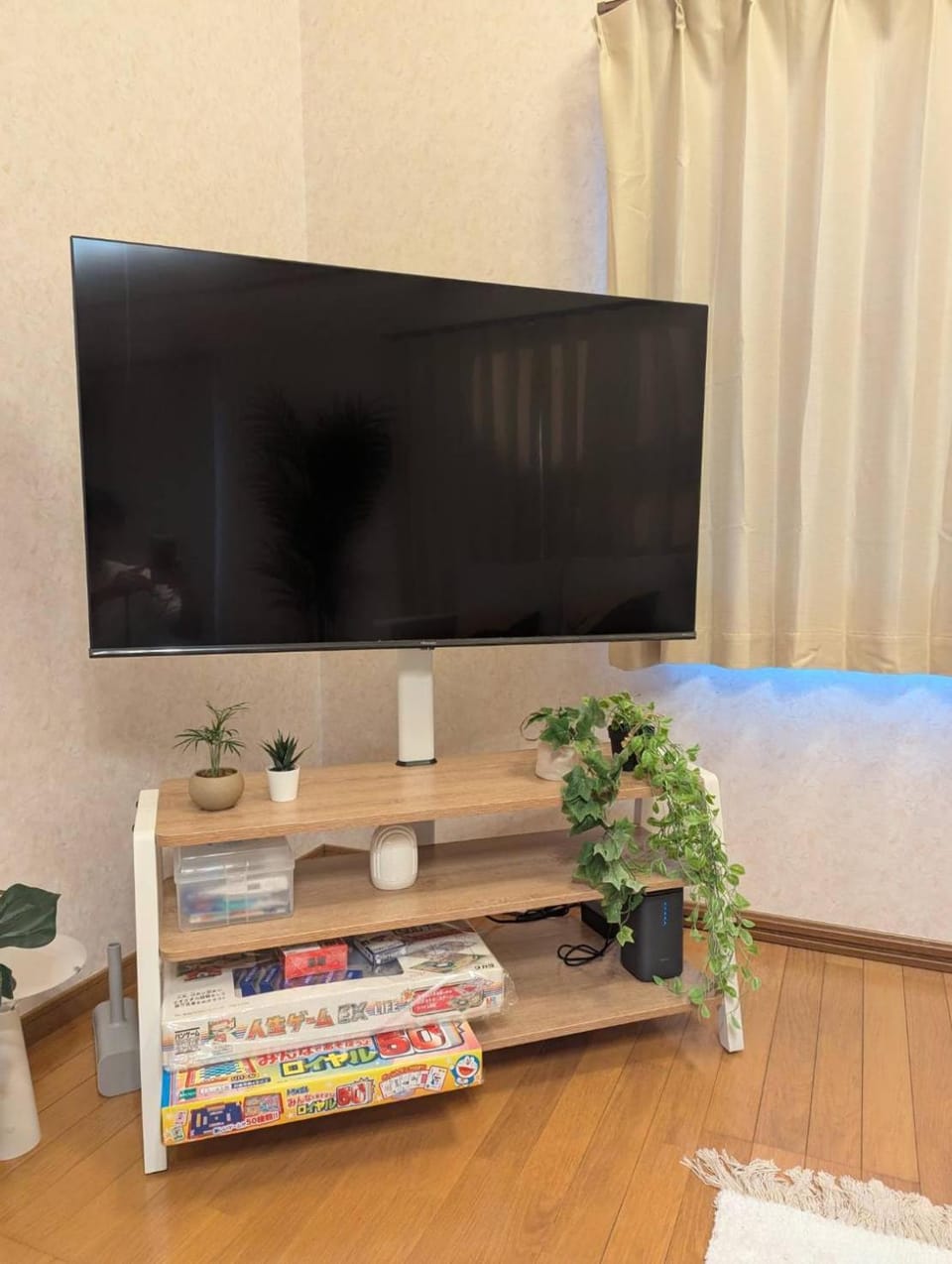 TV and multimedia
