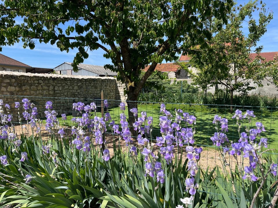 Gîte des Coteaux d'Ebreuil House in Auvergne-Rhône-Alpes
