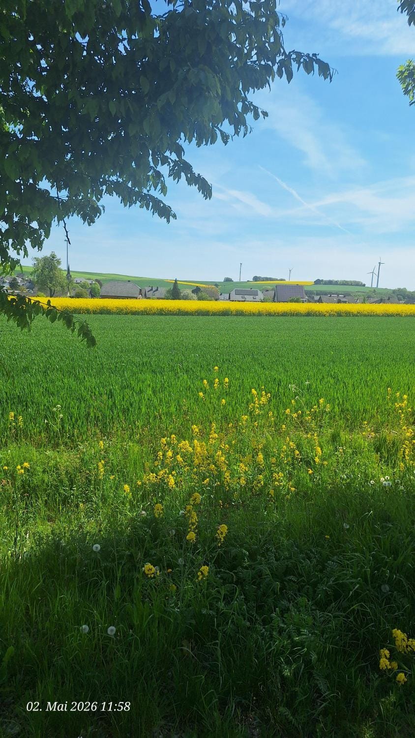 Natural landscape