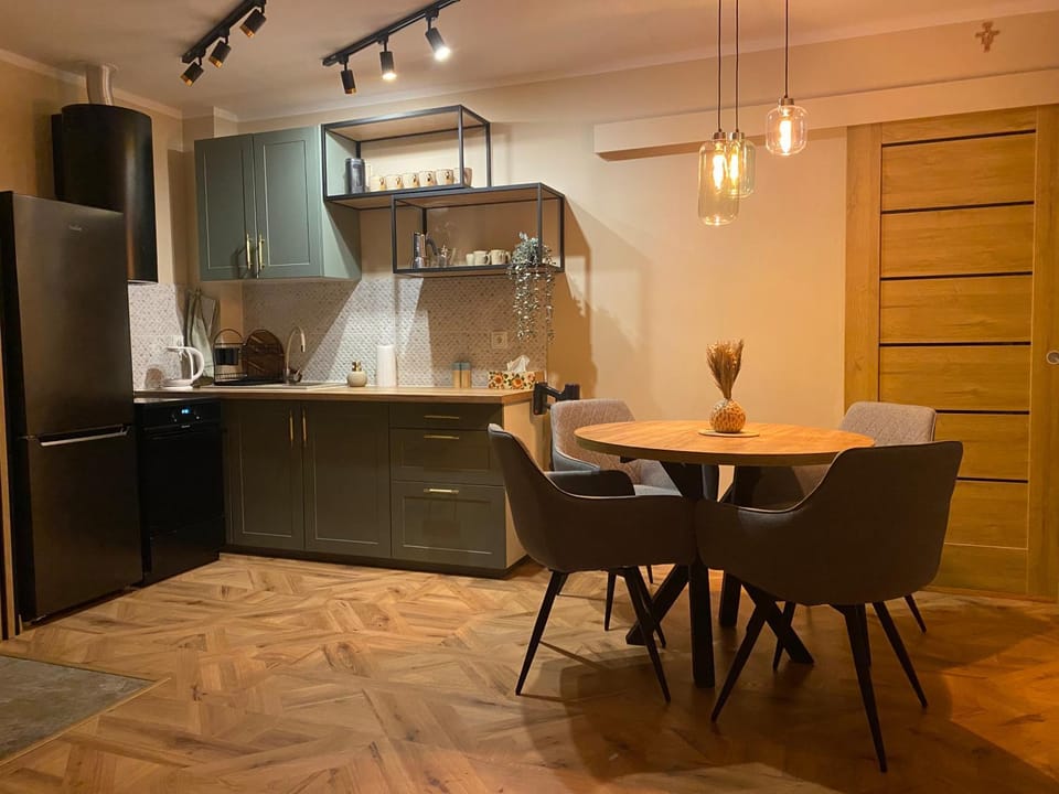 Kitchen or kitchenette, Dining area, oven, stove