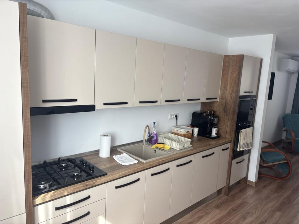 House Residence Villa in Serbia