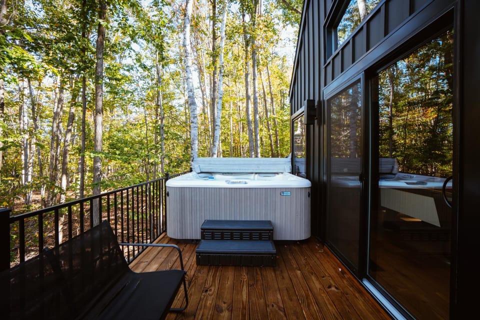Time Capsule 70s Hot Tub, Sauna Arcade House in Michigan