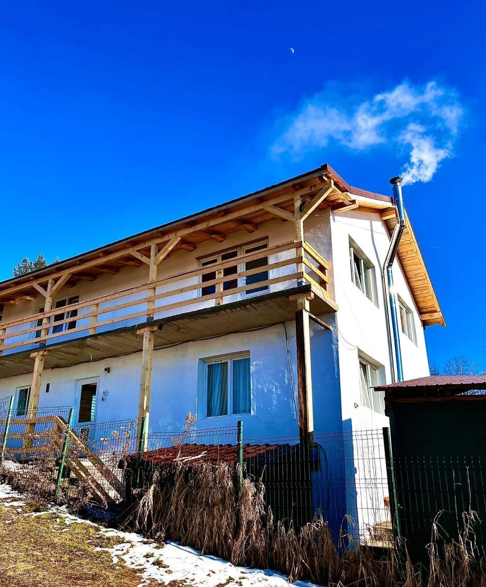 Cabana Timi House in Romania